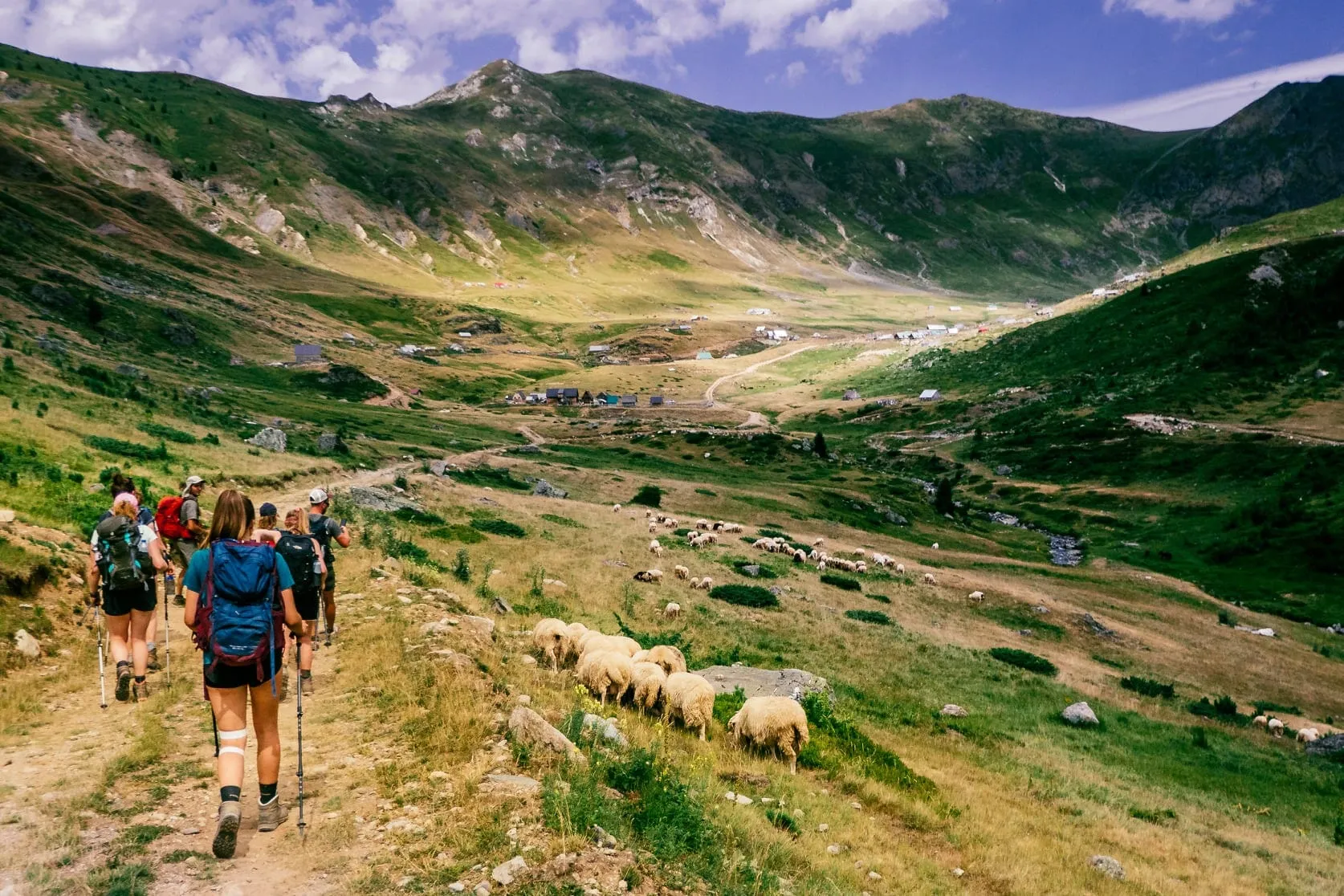 Eine Gruppe Wandernder auf einem staubigen Bergpfad zieht auf den Hochweiden an einer Schafherde vorbei